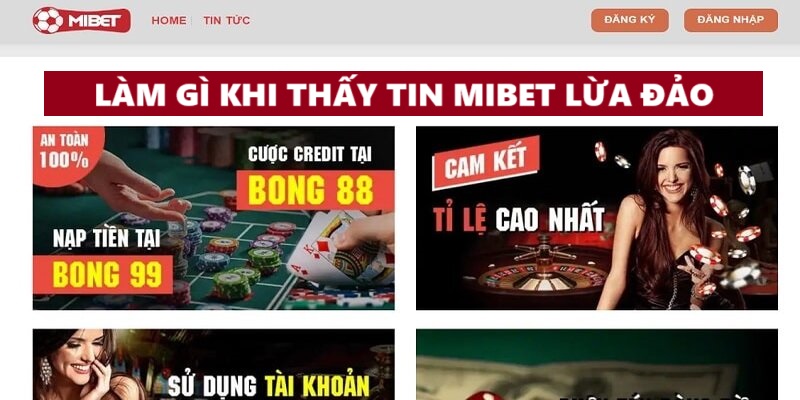 Người chơi cần làm gì khi thấy tin Mibet lừa đảo